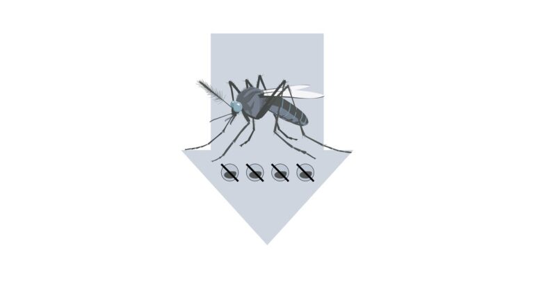 The Science Behind Wolbachia