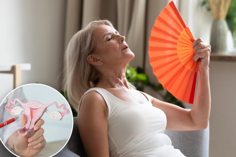 The Shift From Reproductive Function to Immune Identity