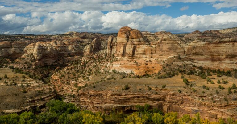 The Debate Over Public Land Management