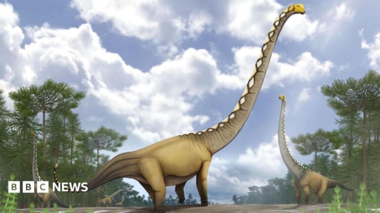 Discovery at the Phu Noi Fossil Site