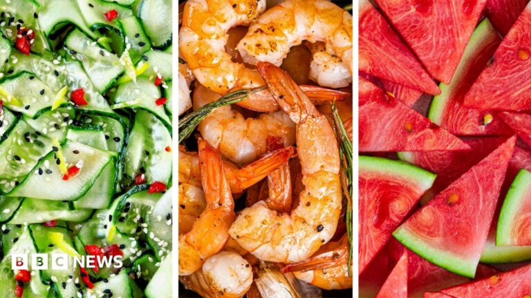 The Heat-Generating Cost of Protein Digestion