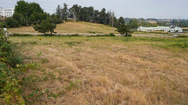 Gov. Tina Kotek orders Oregon to cancel land sale for Salem data center