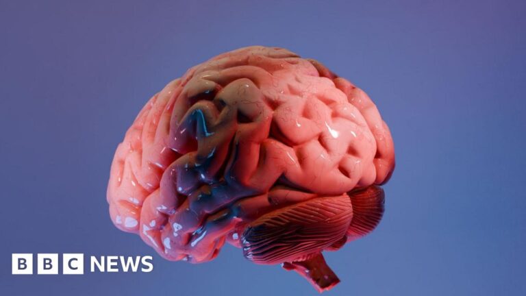 Closing a Gap in Neuroscience