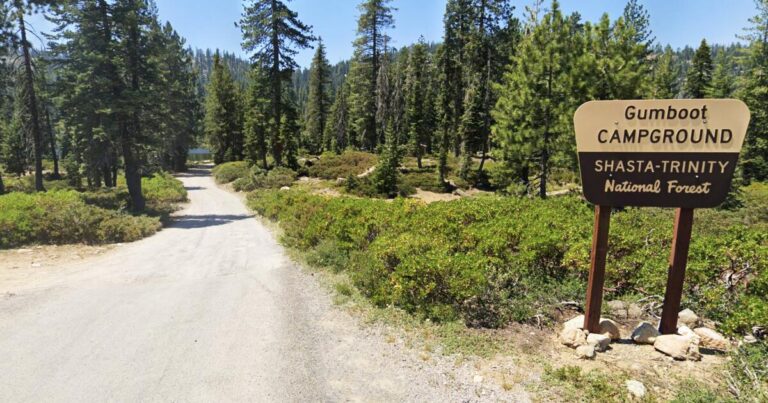 Hostage Crisis in the Shasta-Trinity National Forest