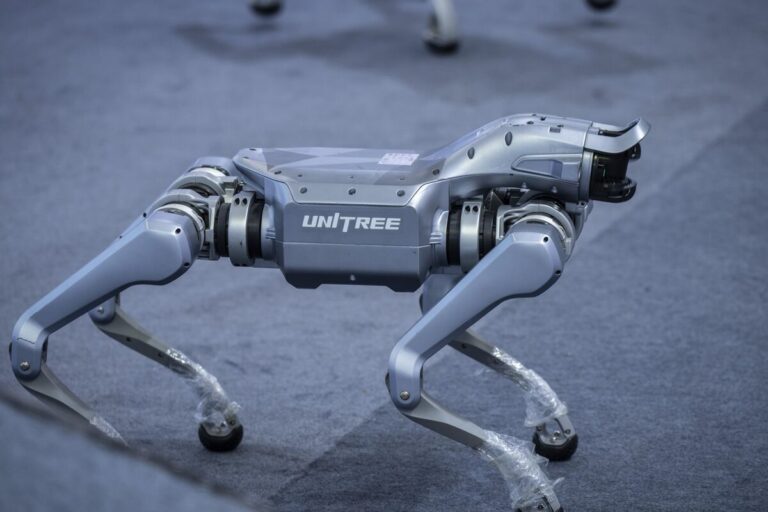 Robot Dogs Make Chinese Billionaire Even Richer Despite US Curbs