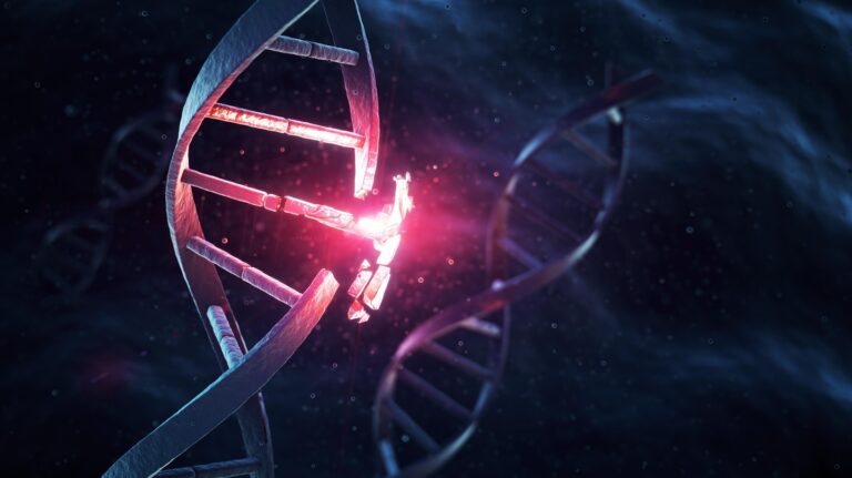 Researchers Map DNA Reading and Gene Regulation Code