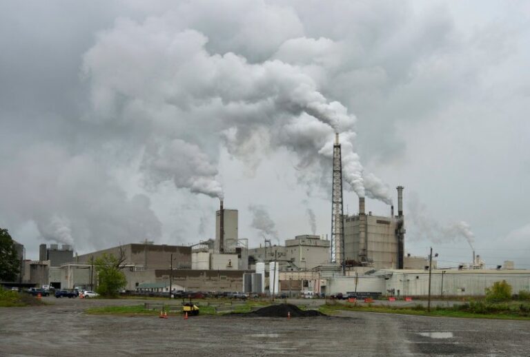 Woodland Pulp Mill Safety Failures Caused Fatal Hydrogen Sulfide Leak