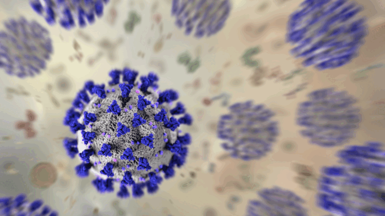 An illustration of 3D coronavirus cells, with purple spikes all over them