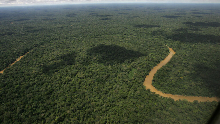 President Lula Hails Offshore Oil Find Near Amazon as Passport to Future