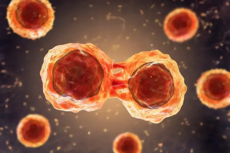 Bone Marrow Cancer Cure: How Stem Cells Work