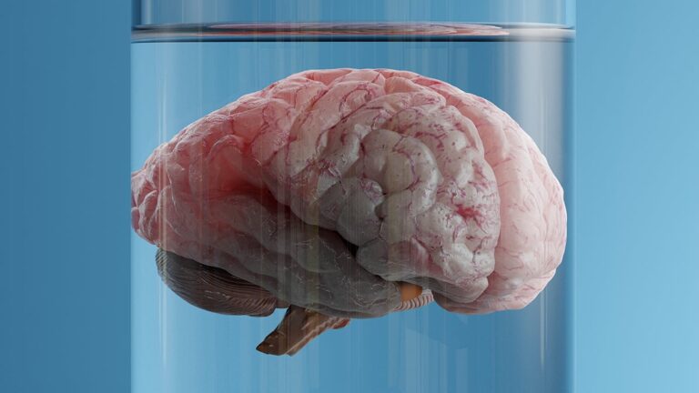 What if The Brain Doesn't Create Consciousness? Scientist Proposes It Might Be the Fabric of Reality