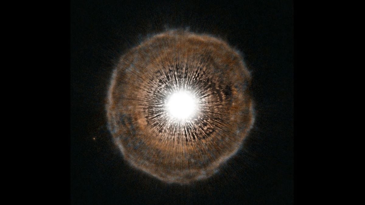 Water Detected Near Milky Way's Supermassive Black Hole