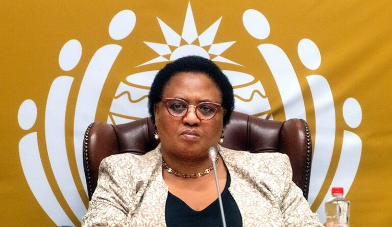 Didiza survives no-confidence vote, but questions remain over Parliament’s authority
