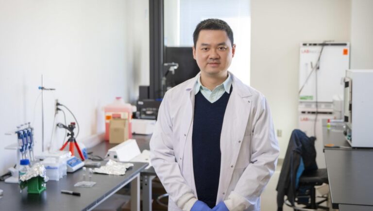 Researchers develop hydrogels to create a programmable niche for blood stem cells