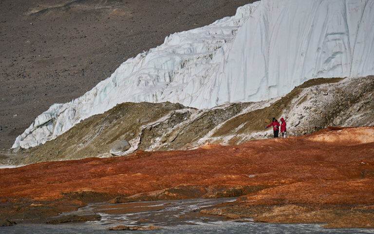 Researchers Find Marine Eukaryotes at Antarctica's Blood Falls