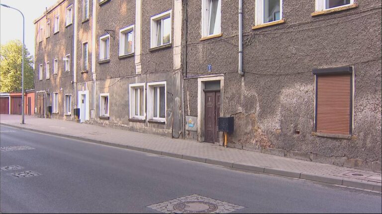 Kamienna Góra Police Detain Teenager Following Assault on Boy