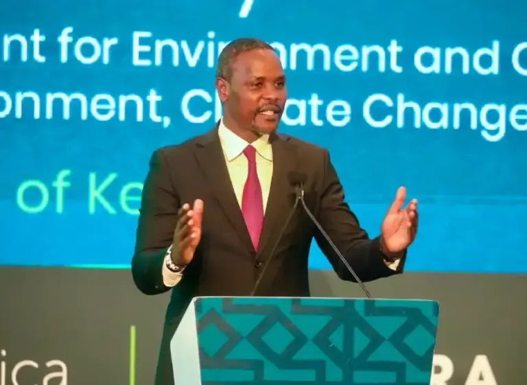 Kenya Calls for Investment in Green Jobs as Africa Eyes Low-carbon Transition