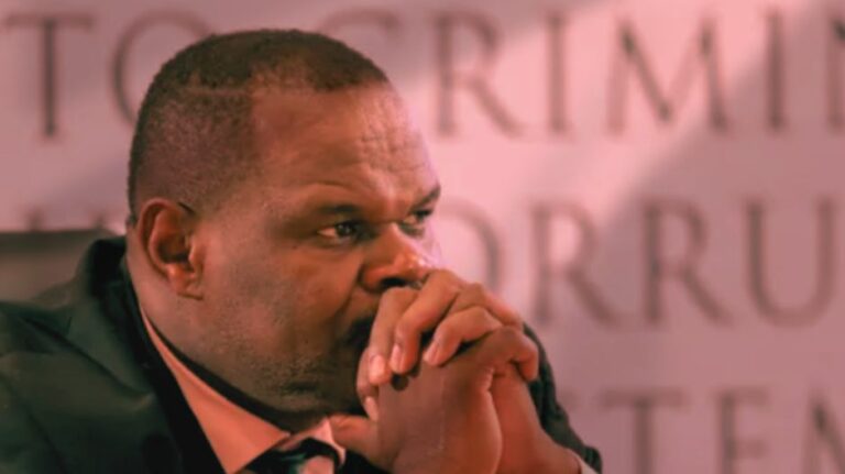 Police stamp, secret chats and a R1.16m spy-tech deal: Msibi's alleged grabber plot unpacked