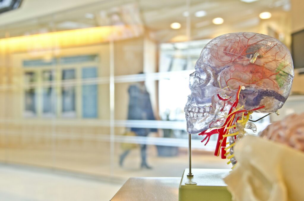 World's largest single-site study maps brain changes under psilocybin