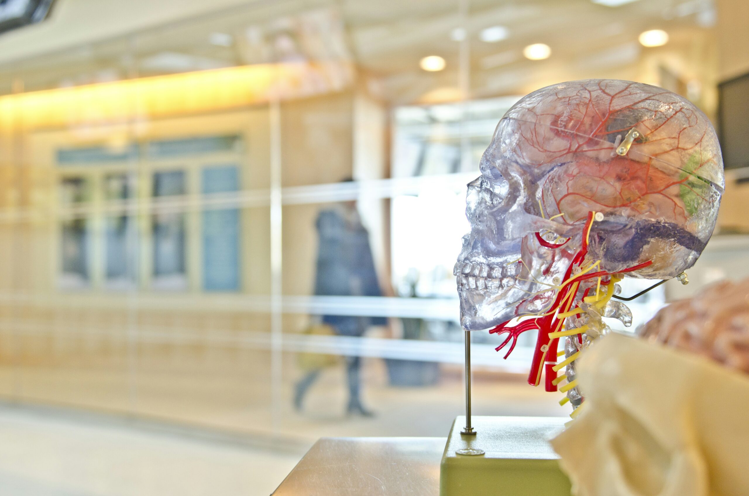 World's largest single-site study maps brain changes under psilocybin