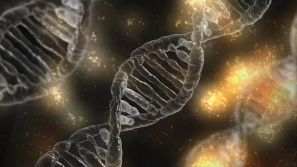 New research uncovers unique genetic links to eating disorders - News-Medical