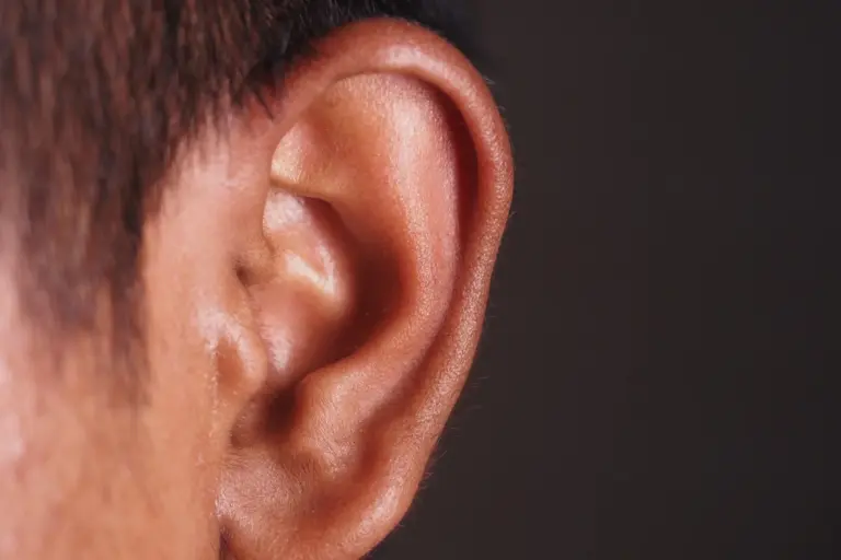 Ear Microbiome Composition and Its Role in Health and Disease