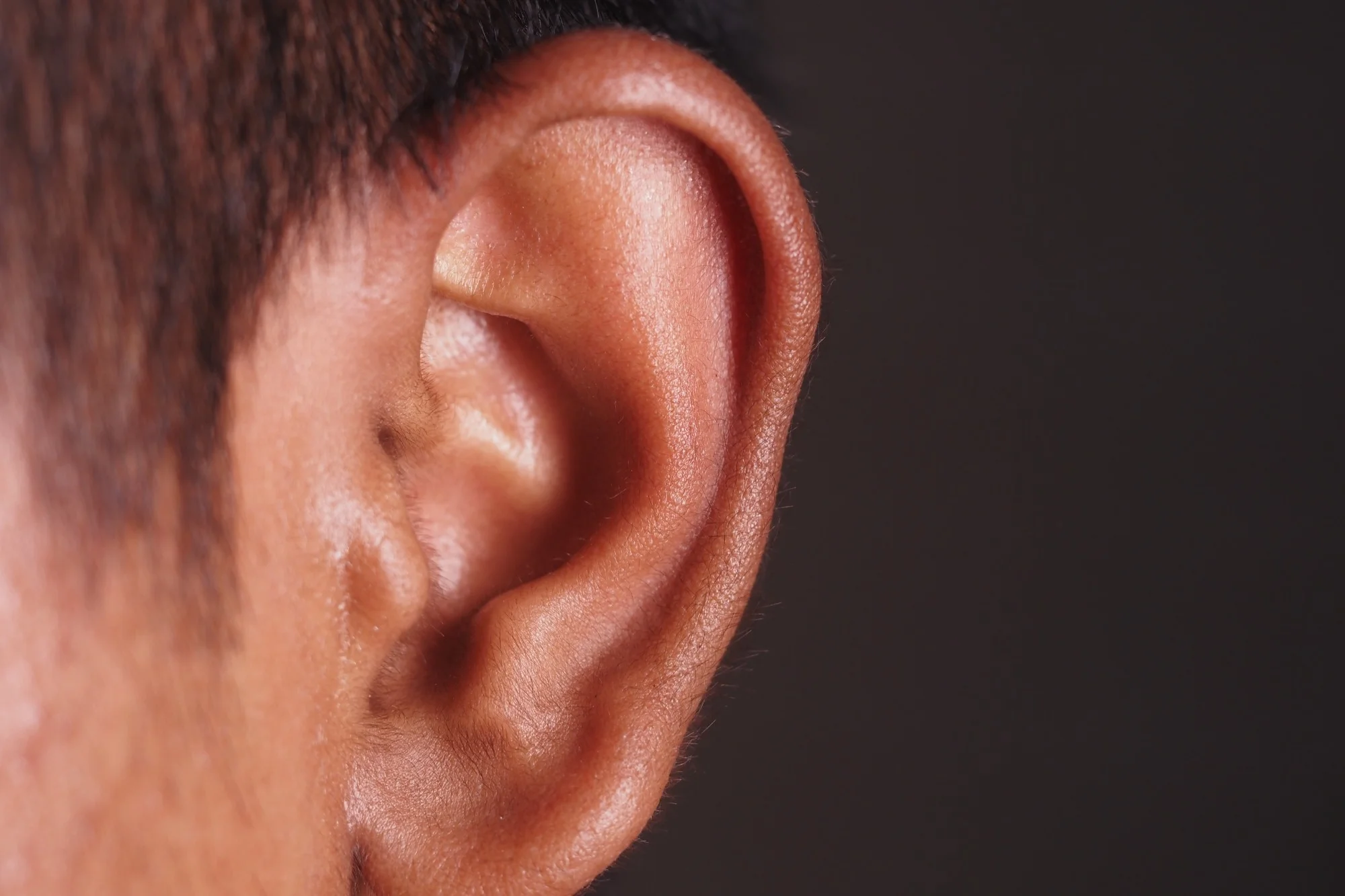 Ear Microbiome Composition and Its Role in Health and Disease