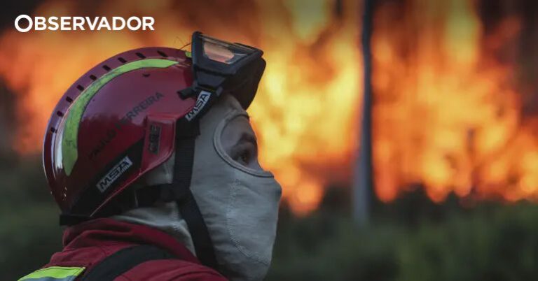 Portugal Wildfire Risk: IPMA Places Over 60 Municipalities Under Maximum Alert