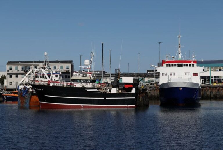 Icelanders vote in close race on restarting EU membership talks
