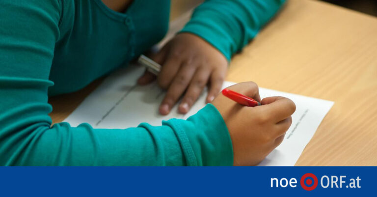 50,000 Lower Austria Students Needed Tutoring Last School Year
