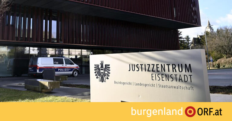 Eisenstadt Prosecutors Charge Five Suspects in Dead Newborn Case
