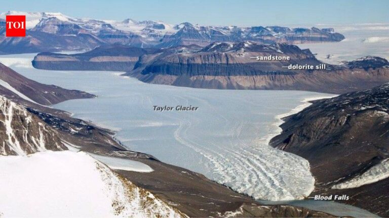 Researchers Find Ancient Marine Life Isolated Under Antarctica's Taylor Glacier