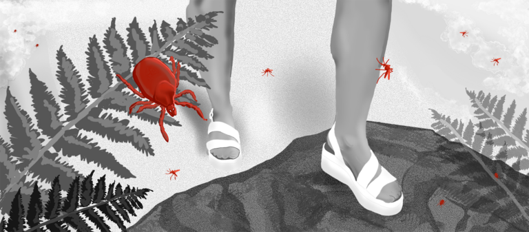 How climate change is reshaping the UK's risk of vector-borne diseases