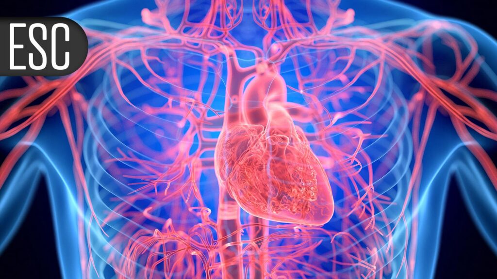 Infective Endocarditis Trial Backs Less Intense Antibiotic Approach
