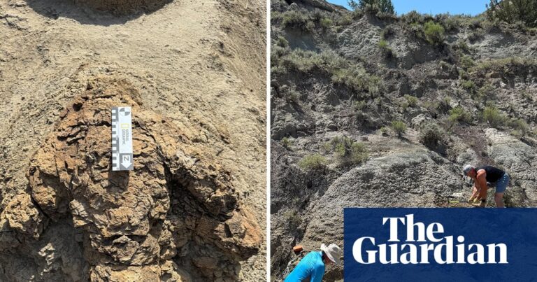 Tyrannosaurus Rex Trackway Discovered In North Dakota Reveals Adult Walking Pace