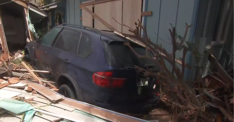 Watch: Downed trees and flooding as Hurricane Lowell batters western Hawaii