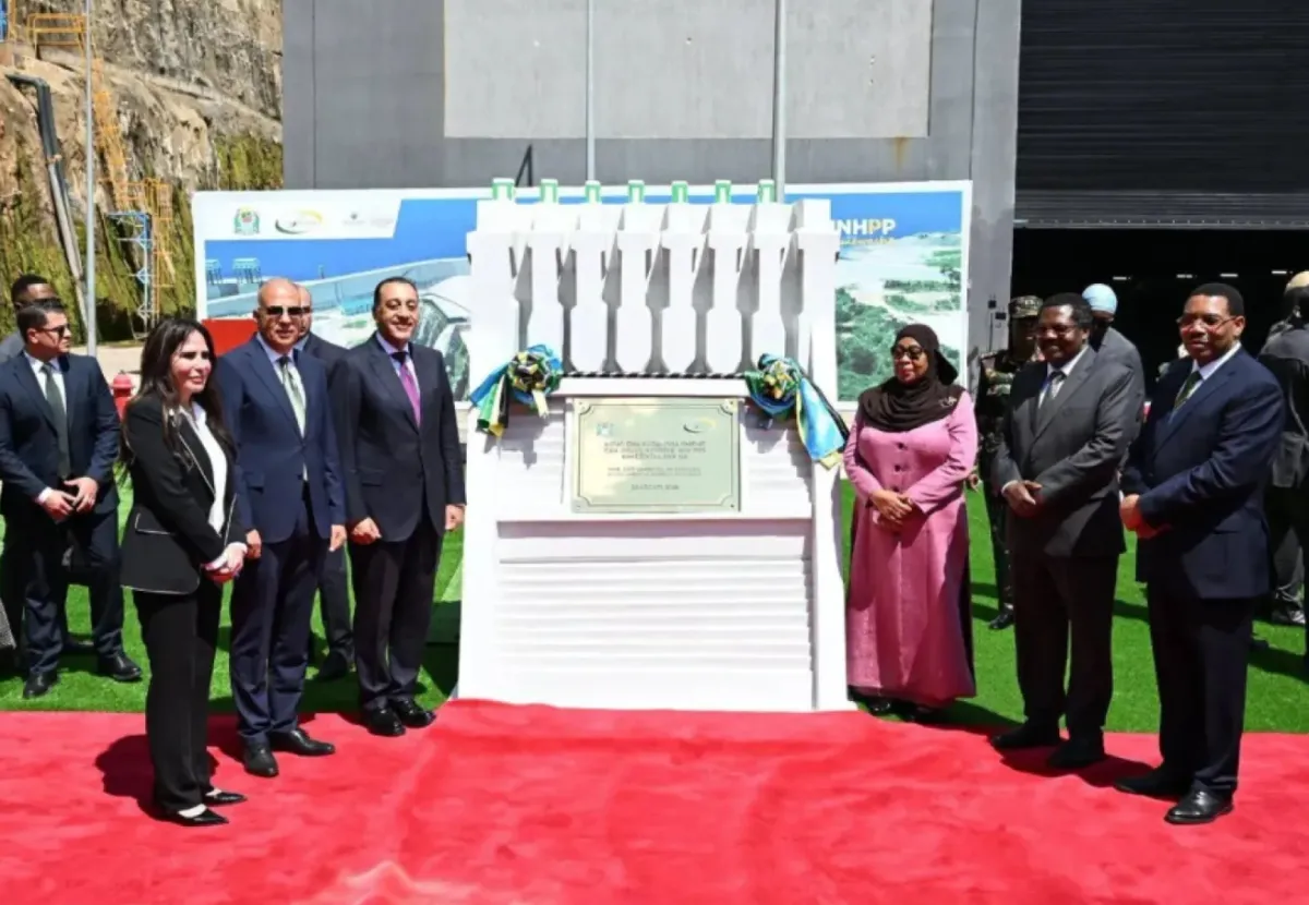Cairo Establishes $100m Fund for Southern Basin Projects