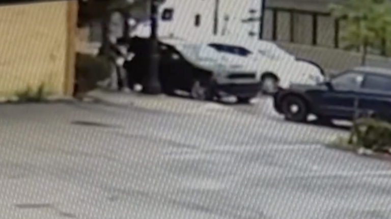 ice mistakenly targets us citizen who was left injured on the ground near chicago