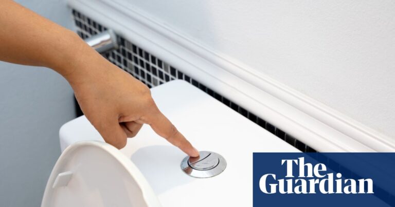 Flushing the toilet can release a plume of breathable pathogens and closing the lid won't stop it
