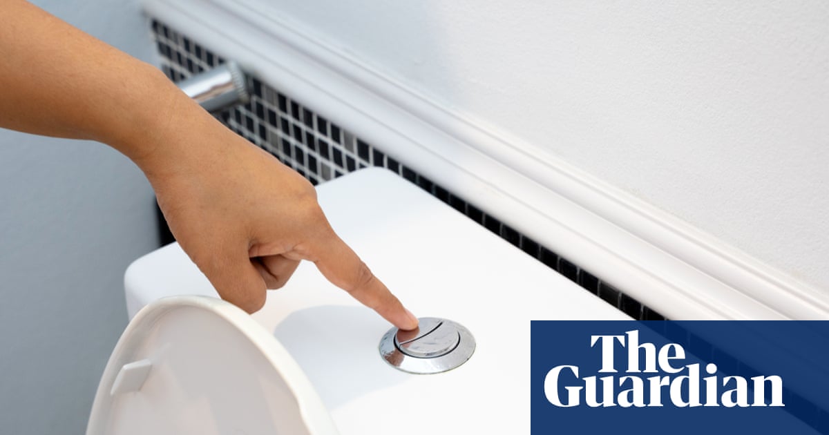 Flushing the toilet can release a plume of breathable pathogens and closing the lid won't stop it