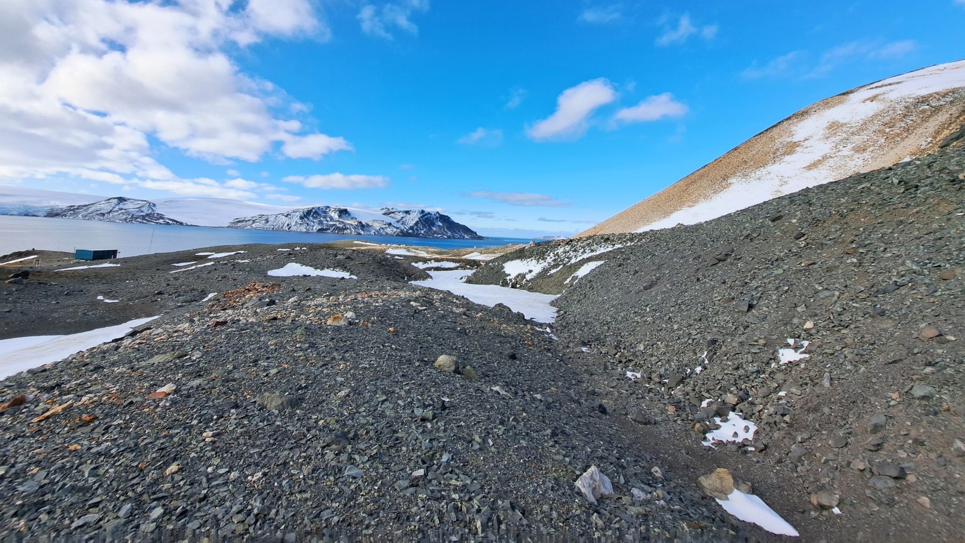 Antarctica’s exposed rocky ground may look barren, but its soils support a surprisingly distinctive microbial community