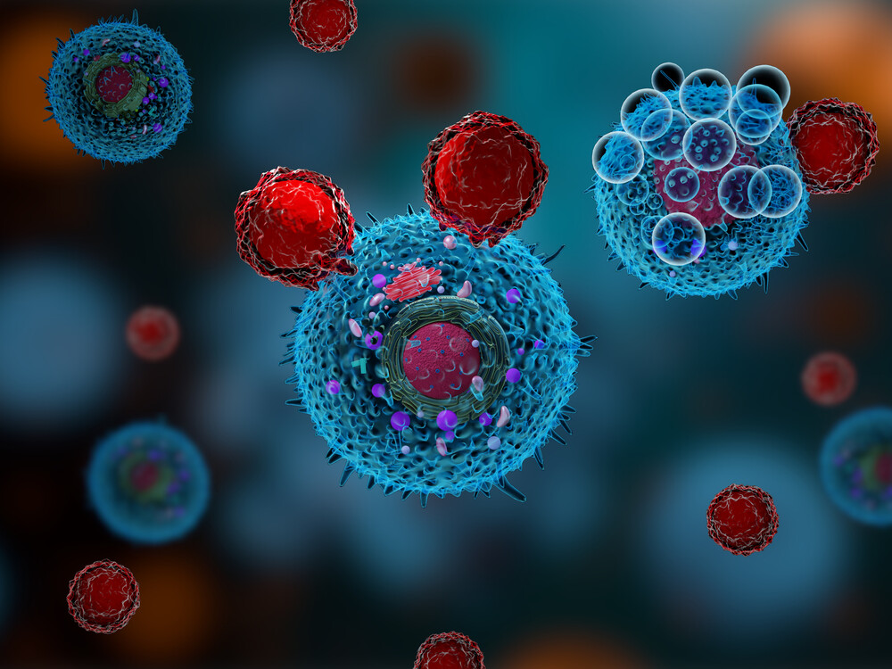 Tumors Use Antioxidant Protein to Disarm Cancer-Fighting T Cells