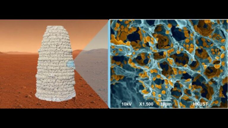 a visualization showing a possible yeast habitat that looks like a conical structure on Mars. On the right, a close up of