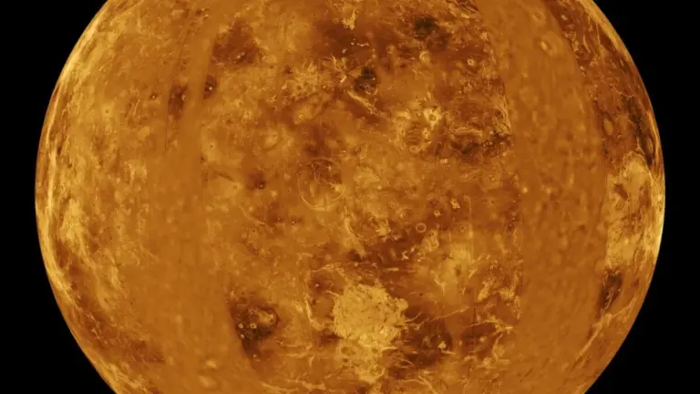 Venus May Have Had a Moon for Nearly 2 Billion Years Before It Ate It