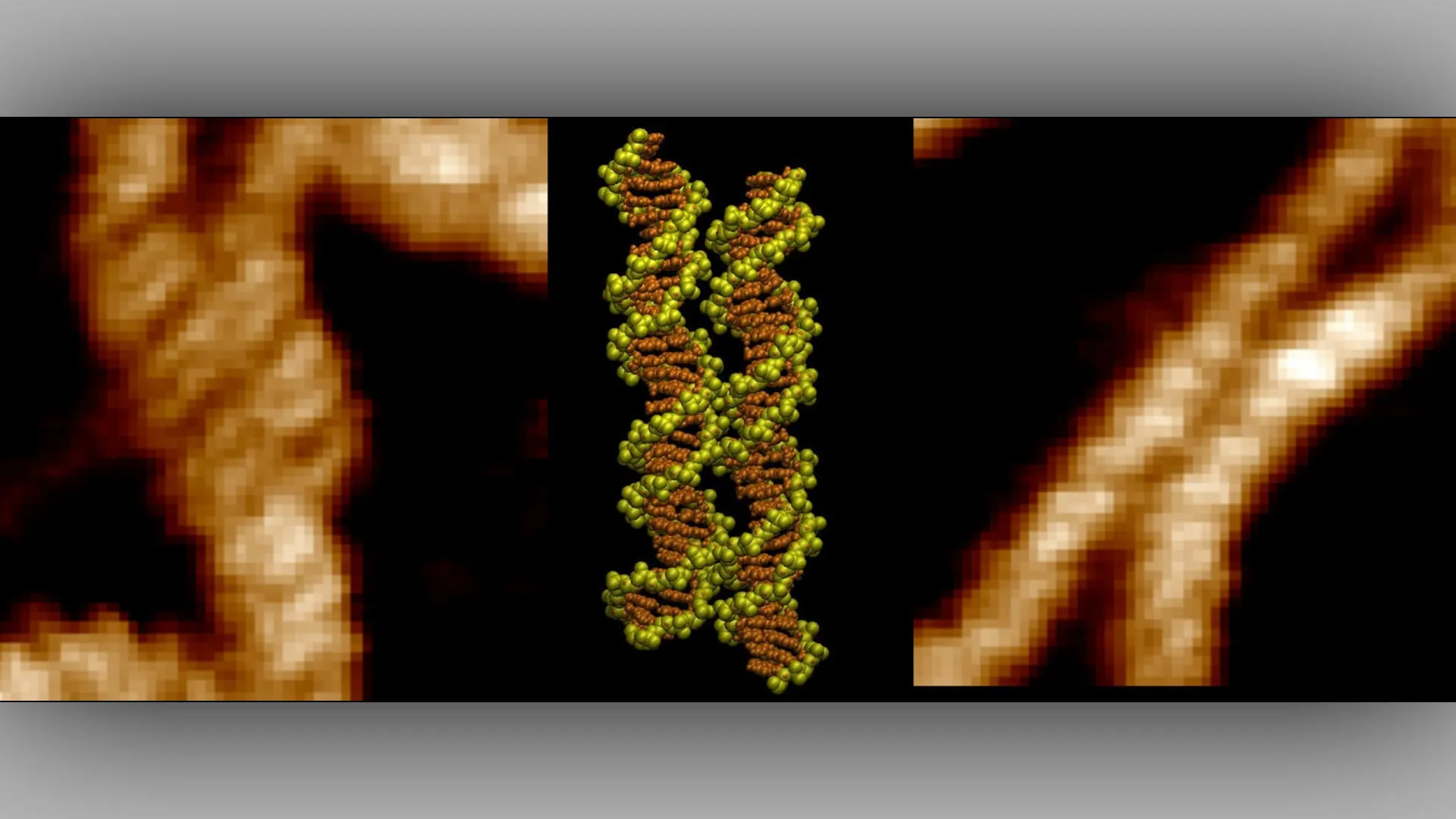 Scientists capture first-ever footage of DNA strands locking together