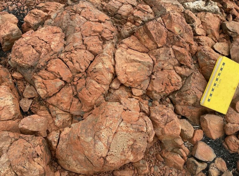 Ancient Pilbara Craton Rocks Reveal Early Earth Water Recycling Mechanism