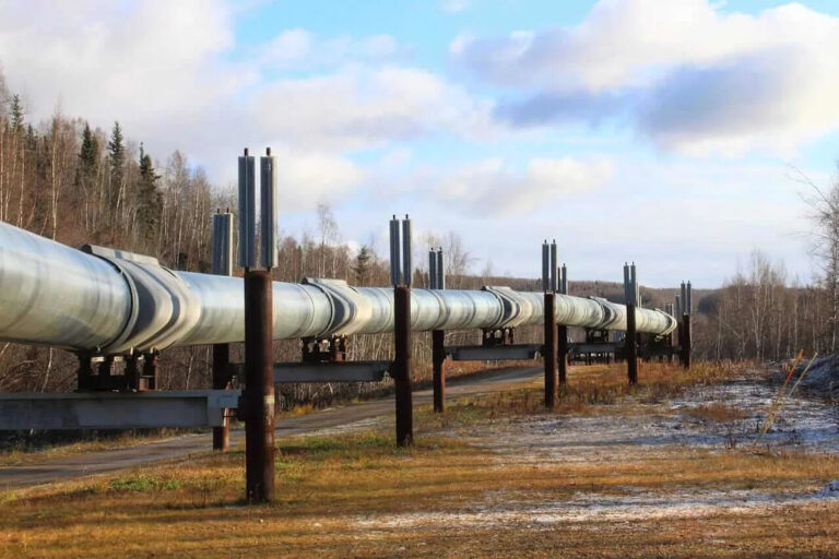 Crude Oil Prices Fall 4% as US Eases Saudi Supply Fears