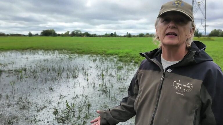 Long Mead Wildlife Site Flooded by Burst Pipe for Fourth Time