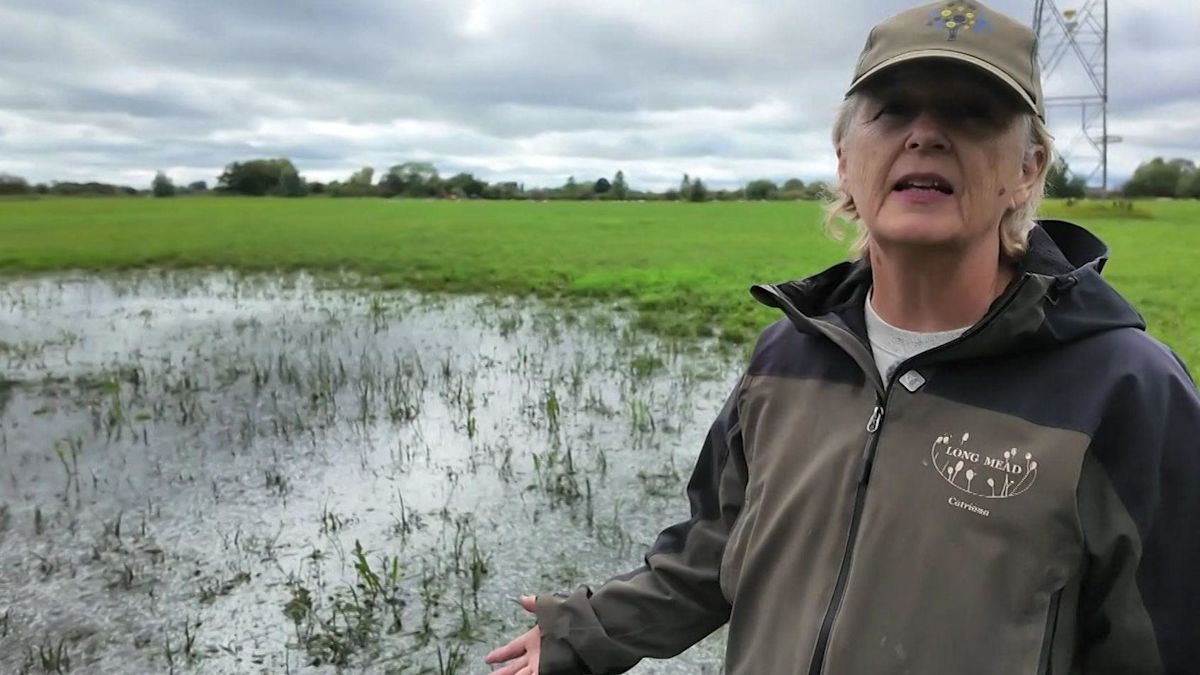 Long Mead Wildlife Site Flooded by Burst Pipe for Fourth Time