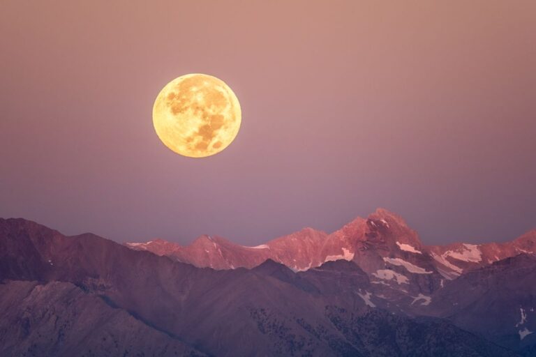See the Harvest Moon Rise and Venus Blaze Brightest: The Night Sky This Month